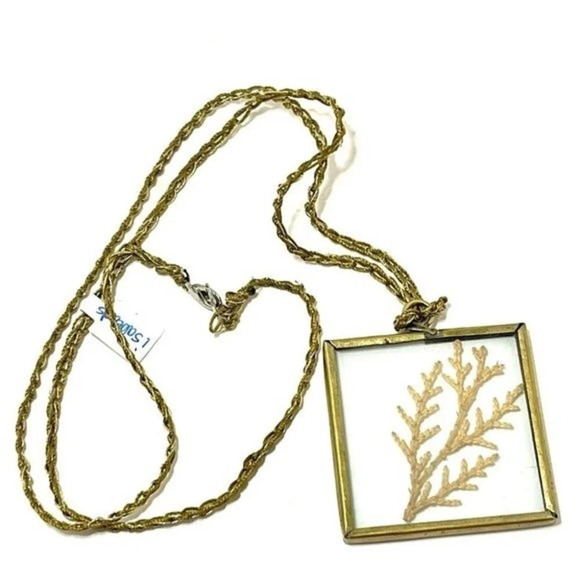 Glass and Crocheted Rope Handmade Shadowbox Necklace with Dried Fir Tree​​. - Picture 1 of 5